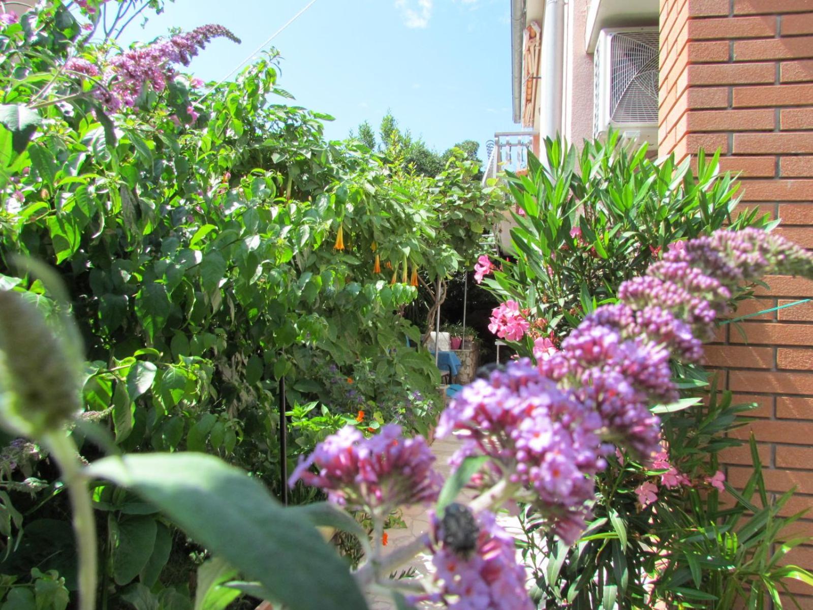 Apartments Bura & Jugo, Cres, Without Stress Buitenkant foto