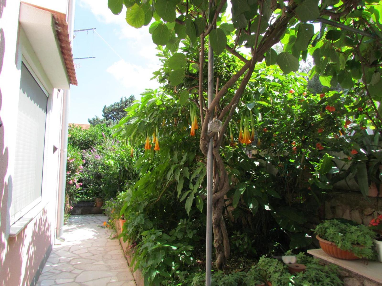 Apartments Bura & Jugo, Cres, Without Stress Buitenkant foto