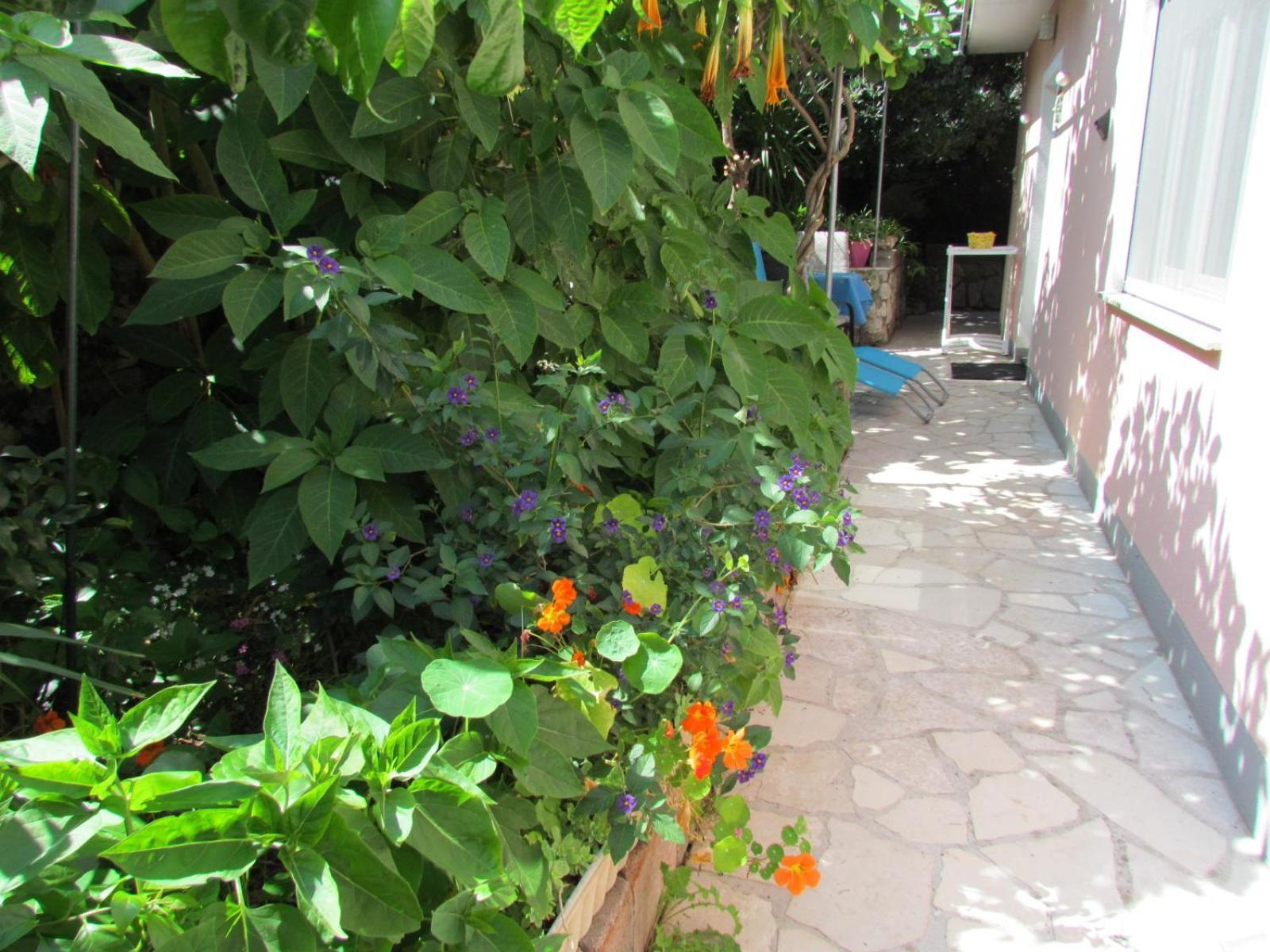 Apartments Bura & Jugo, Cres, Without Stress Buitenkant foto