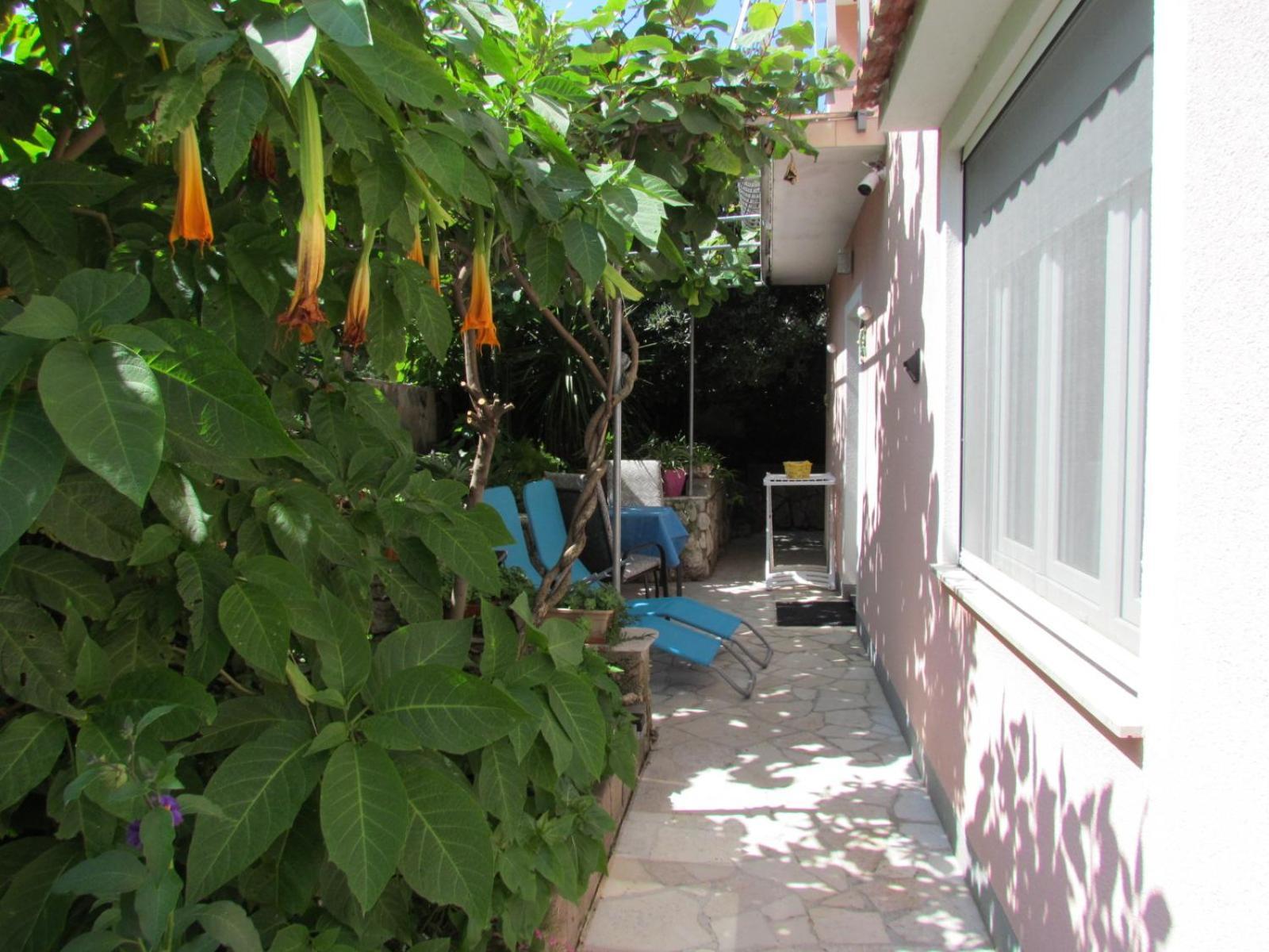 Apartments Bura & Jugo, Cres, Without Stress Buitenkant foto